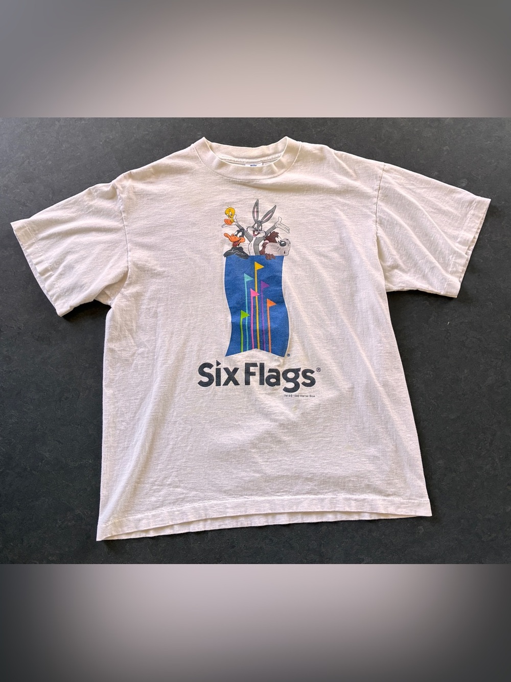 Warner Bros. Six Flags Looney Tunes White Tee with Colorful Character Graphic